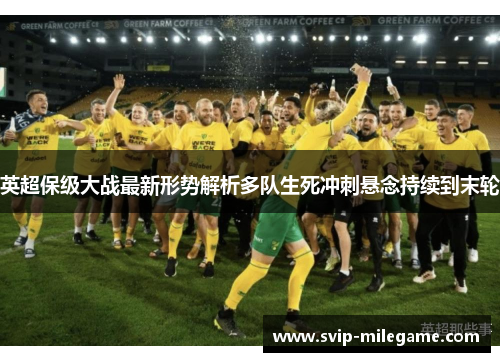 英超保级大战最新形势解析多队生死冲刺悬念持续到末轮 英超保级大战最新形势解析多队生死冲刺悬念持续到末轮
